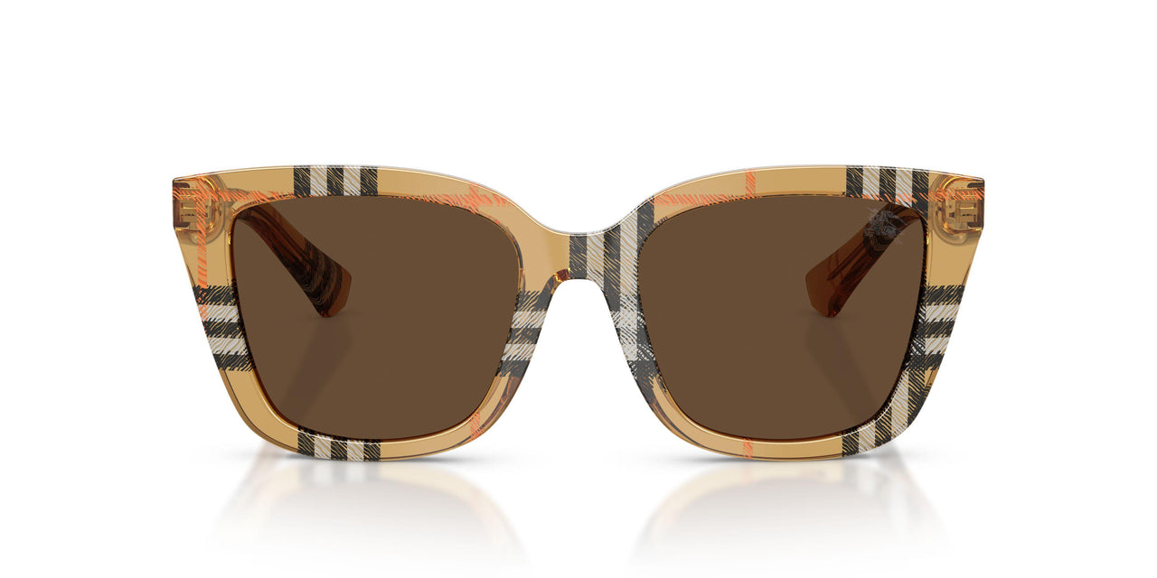 416373 - Brown - Dark Brown
