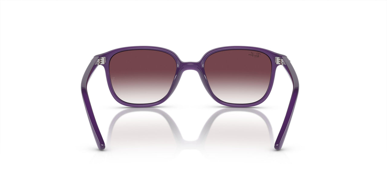713136 - Violet - Grey/violet