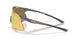 953803 - Grey - Prizm 24k