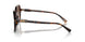 300613 - Tortoise - Brown Gradient
