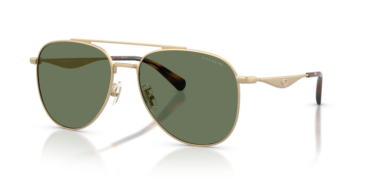 Coach Cdp40 7190 Sunglasses