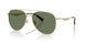 Coach Cdp40 7190 Sunglasses