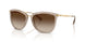 580213 - Brown - Gradient Brown