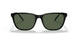 27539A - Black - Dark Green Polar