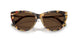 80643G - Tortoise - Light Brown