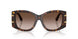 502/13 - Tortoise - Gradient Brown