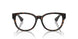 3002 - Brown