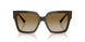 506013 - Green - Brown Gradient