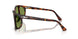 24/4E - Tortoise - Green