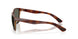 912406 - Tortoise - Gray