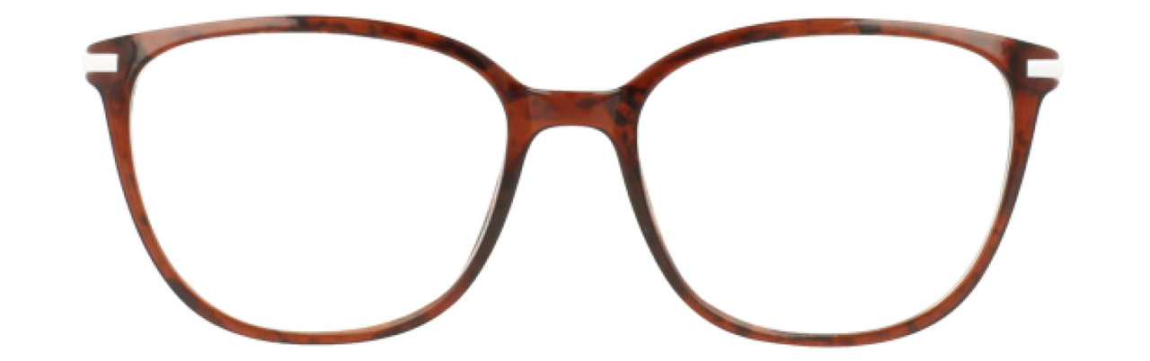 550 - Tortoise