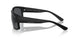 807887 - Black - Polarized Grey