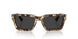 105648 - Tortoise - Polar Black