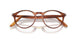 96 - Brown - Clear