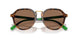608973 - Red - Dark Brown