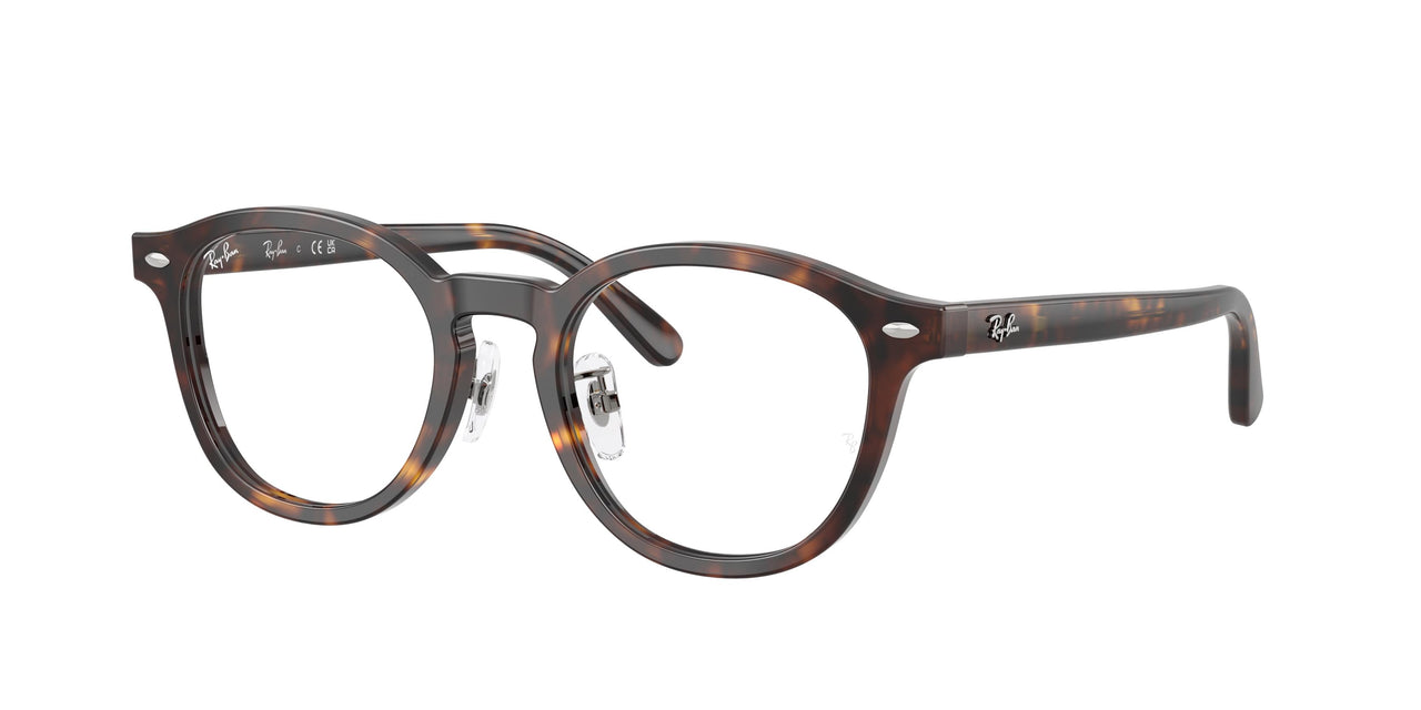 Ray-Ban 5443D Eyeglasses