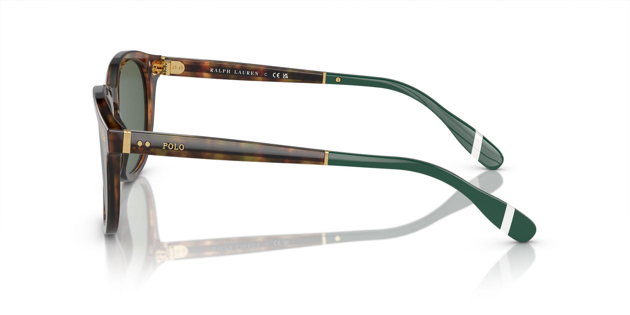 501771 - Tortoise - Bottle Green