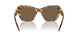 104073 - Tortoise - Dark Brown