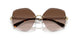 334913 - Gold - Brown Gradient