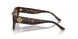 172883 - Tortoise - Dark Brown - Polar