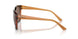 313473 - Tortoise - Dark Brown