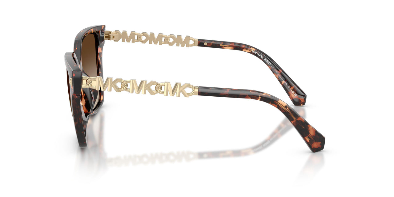 300613 - Tortoise - Smoke Gradient