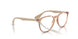 8339 - Brown - Clear