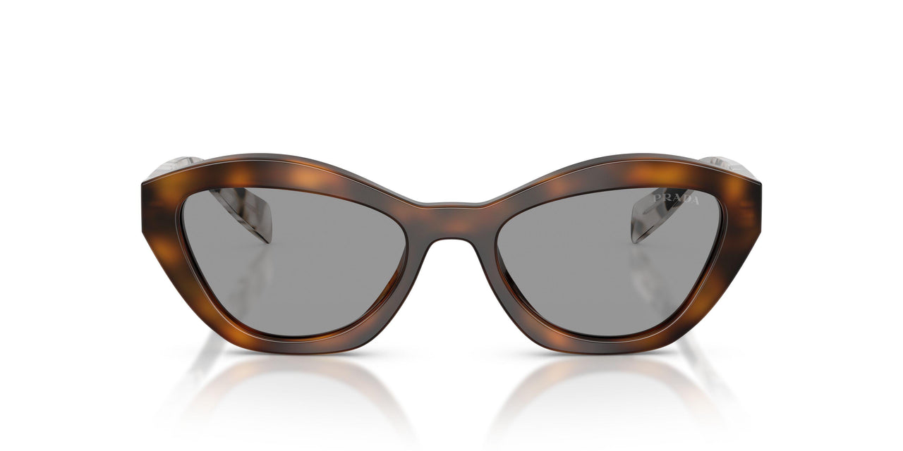 20D50Q - Havana - Grey