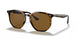 710/83 - Havana - Polar Brown