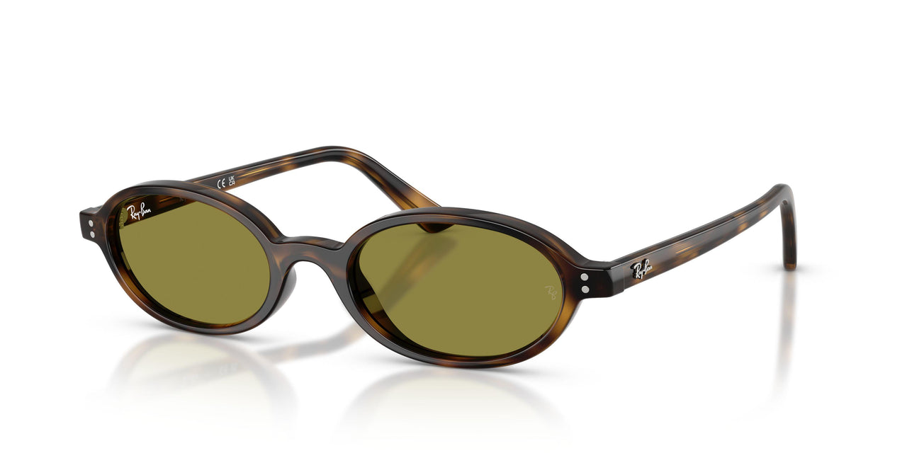 1359/2 - Tortoise - Green