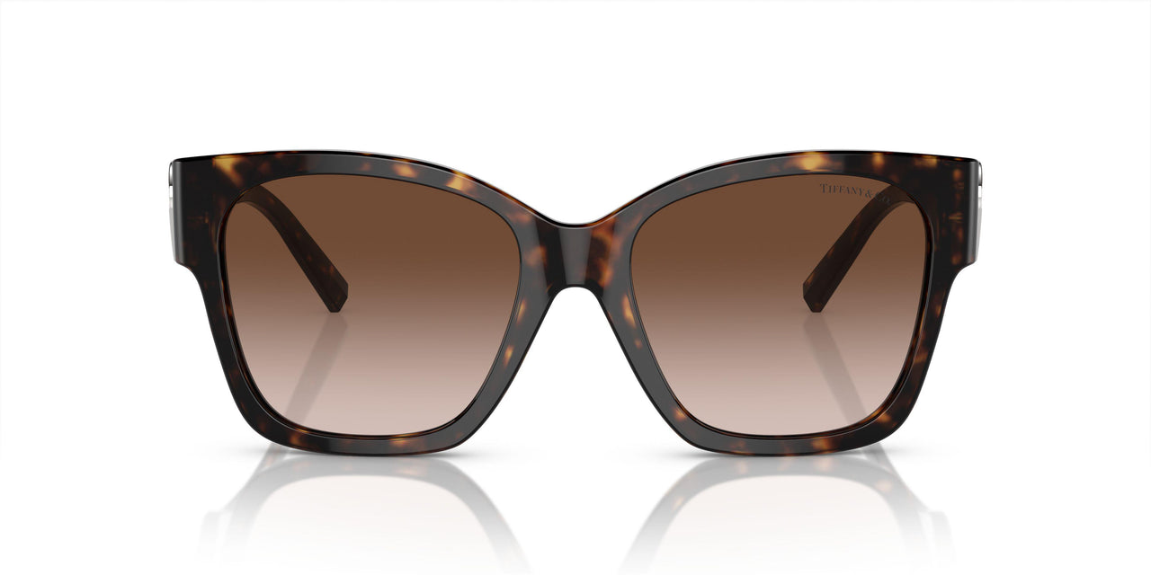 80153B - Tortoise - Brown Gradient