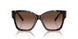 80153B - Tortoise - Brown Gradient
