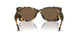 147473 - Tortoise - Solid Brown