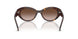 W65613 - Brown - Gradient Brown