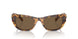 104073 - Tortoise - Dark Brown