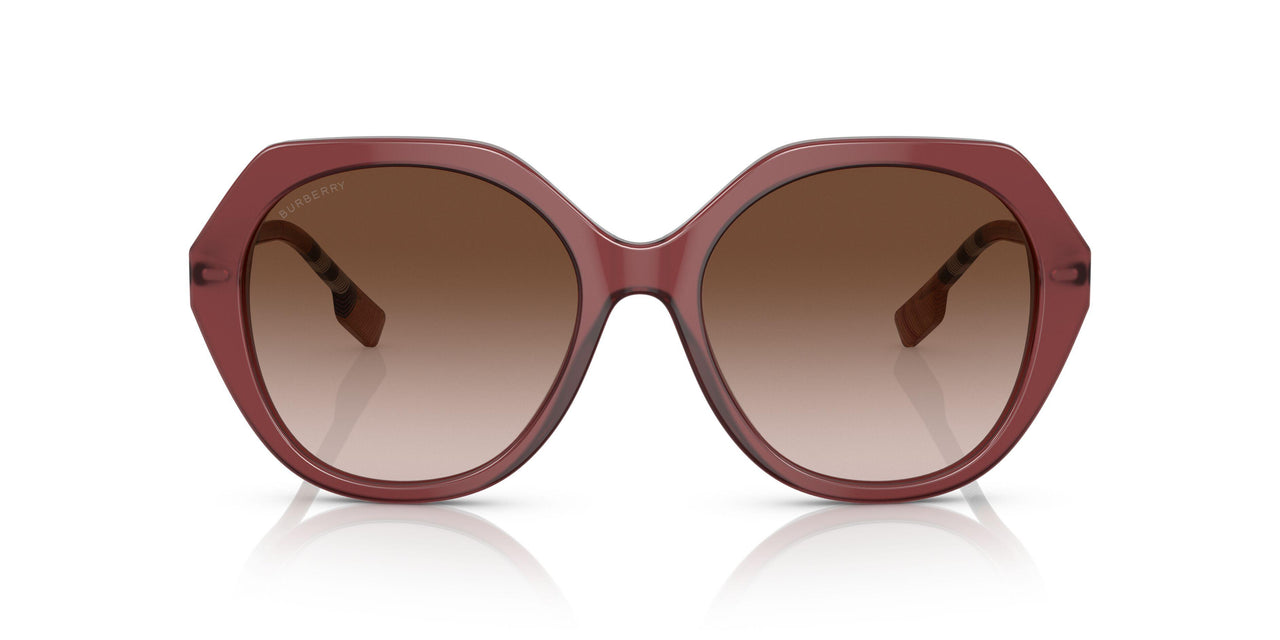 401813 - Bordeaux - Brown Gradient