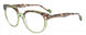 Etnia Barcelona WINTOUR Eyeglasses