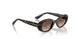 152/13 - Tortoise - Gradient Brown