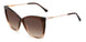 00MY-HA - BROWN GRADIENT - Brown Gradient