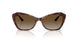W656T5 - Brown - Grey Gradient Brown Polar