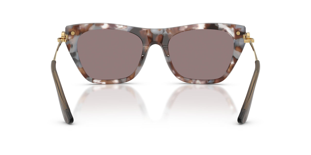 34457N - Tortoise - Dark Purple