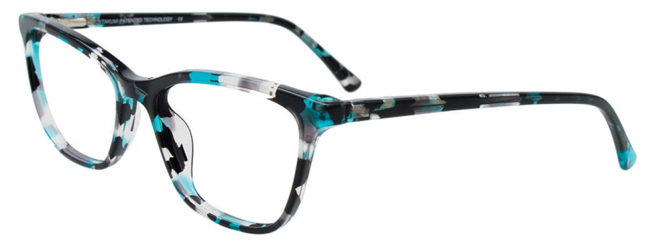 060 - Transparent Cyan Tortoise