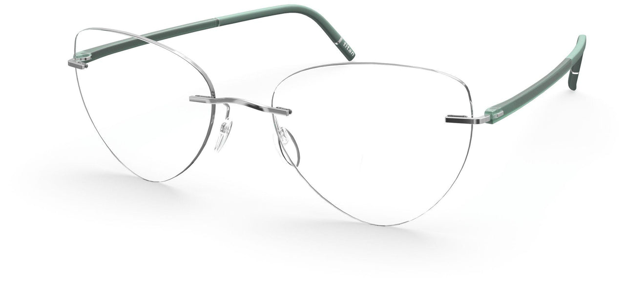 7110 - silver