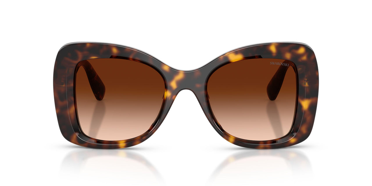 100274 - Tortoise - Gradient Brown