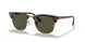 W0366 - Tortoise - Green