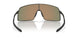 601302 - Black - Prizm Ruby