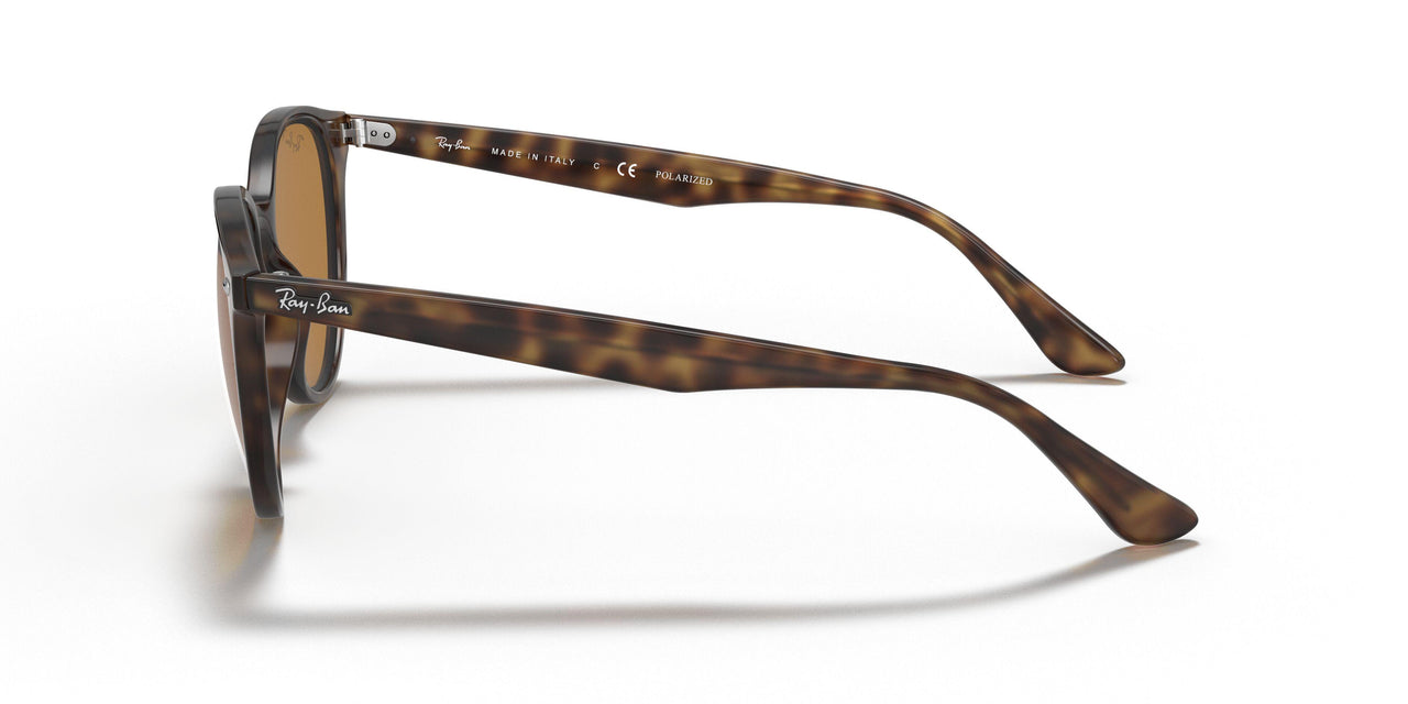 710/83 - Havana - Polar Brown