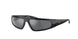 Ray-Ban Izaz 4432 Sunglasses