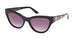 Guess 00112 Sunglasses