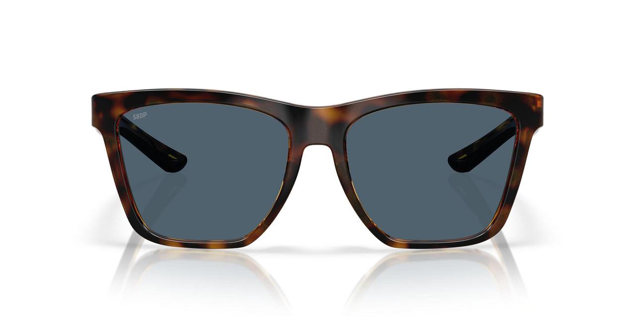 912205 - Tortoise - Gray